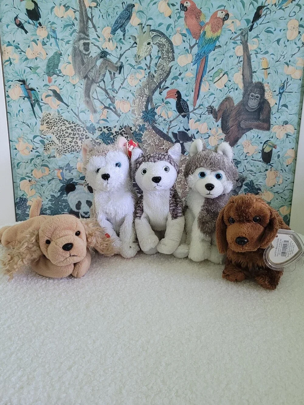 Five Dog Beanie Babies | Ty